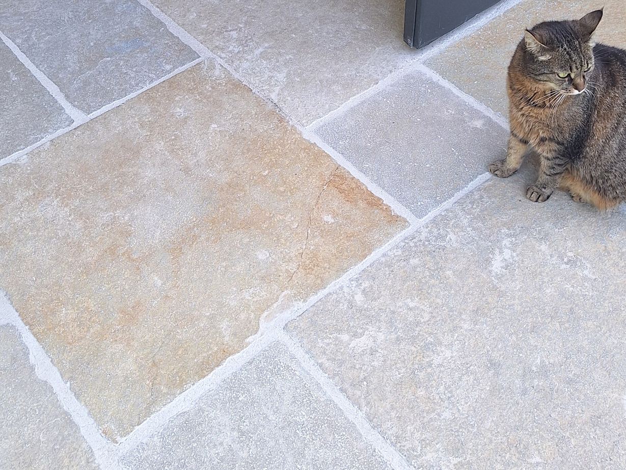 Dalles de calcaire Java Sand : tons chauds. Photo du client calcaire_sable_de_Java_chat_galerie 1