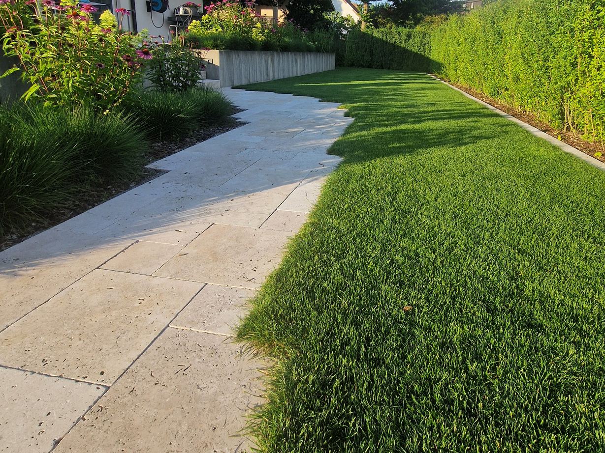 Un chemin de jardin de rêve avec des dalles Medium Select. Photo du client Travertin_Medium_Select_Weg