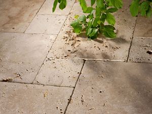 Une surface vieillie au toucher agréable Travertin Rustic sur la terrasse et branches