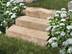 Blocs marches en travertin Noce avec fleurs