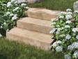 Blocs marches en travertin Noce avec fleurs