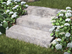 Blocs marches en travertin Silver avec jardin