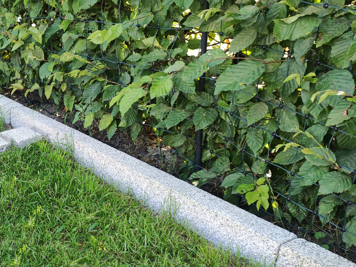 Les bordures de jardin en granite Silver Classico sont très robustes ! (Photo client) Bordures de jardin en granite Silver Classico avec gazon et haie