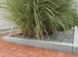 Bordures de jardin en granite Silver Classico avec grosse plante