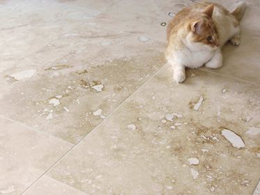 Chat couché sur le sol en travertin Onyx