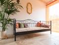 Une plante, une chambre et un sol en travertin Rustic